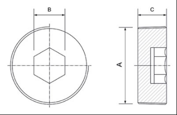 Plug Brass Nickle Plated  NPT Thread (BNP)			