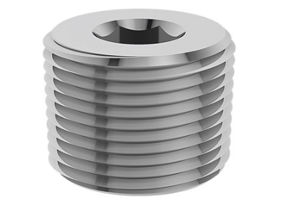 Plug Brass Nickle Plated  NPT Thread (BNP)			