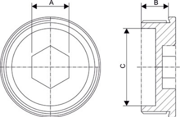 Plug Stainless Steel  NPT Thread (SS316L)			