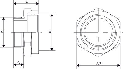 Adaptor Stainless Steel (SS316L) (Metric to NPT)		