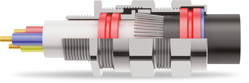 E1W Double Compression Cable Gland Stainless Steel (SS316L) (NPT Thread)				