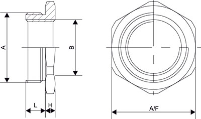 Reducer Brass Nickle Plated (BNP), ( Metric to NPT  Thread)