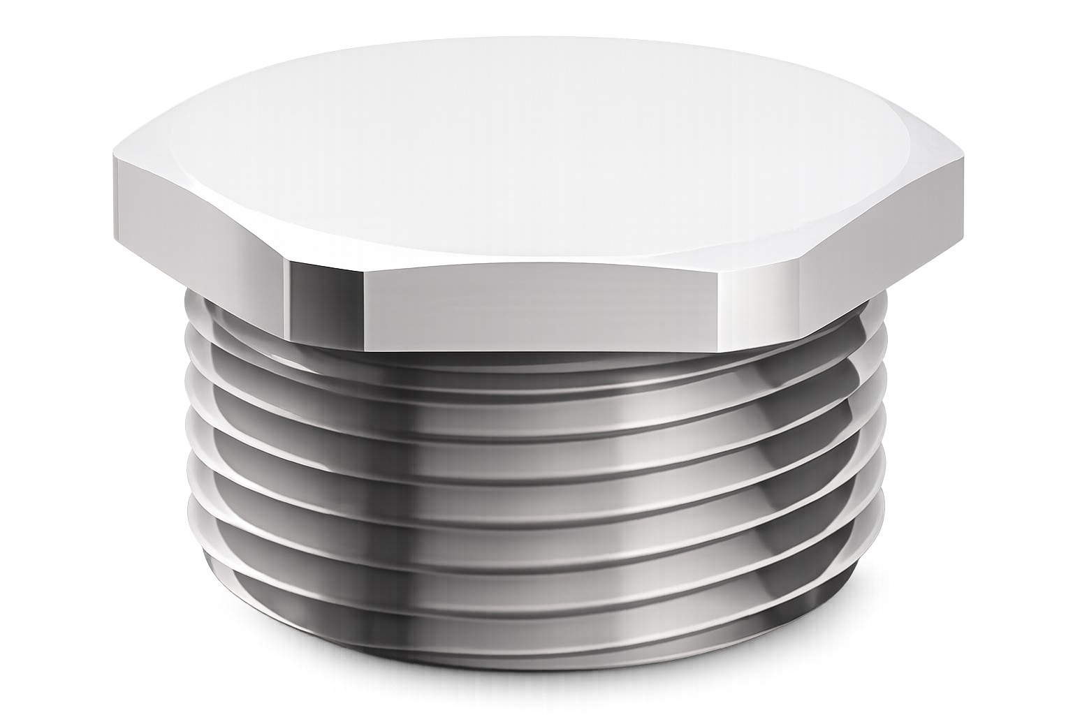 Hexagon Head Stopping Plug Stainless Steel NPT Thread (SS316L)