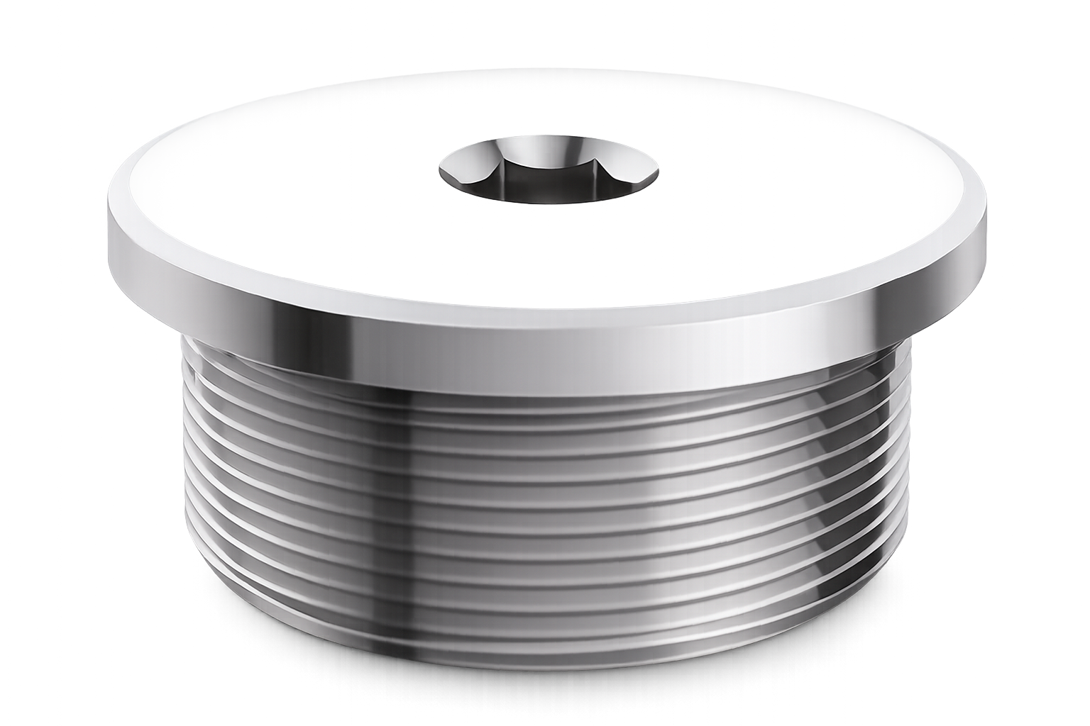 Plug Brass Nickle Plated  NPT Thread (BNP)			