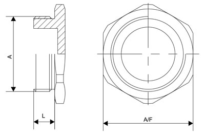 Hexagon Head Stopping Plug Stainless Steel NPT Thread (SS316L)